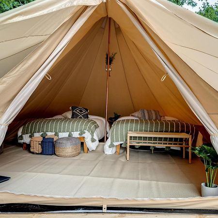 Firefly Ridge Luxury Retreat Otel Great Cacapon Dış mekan fotoğraf